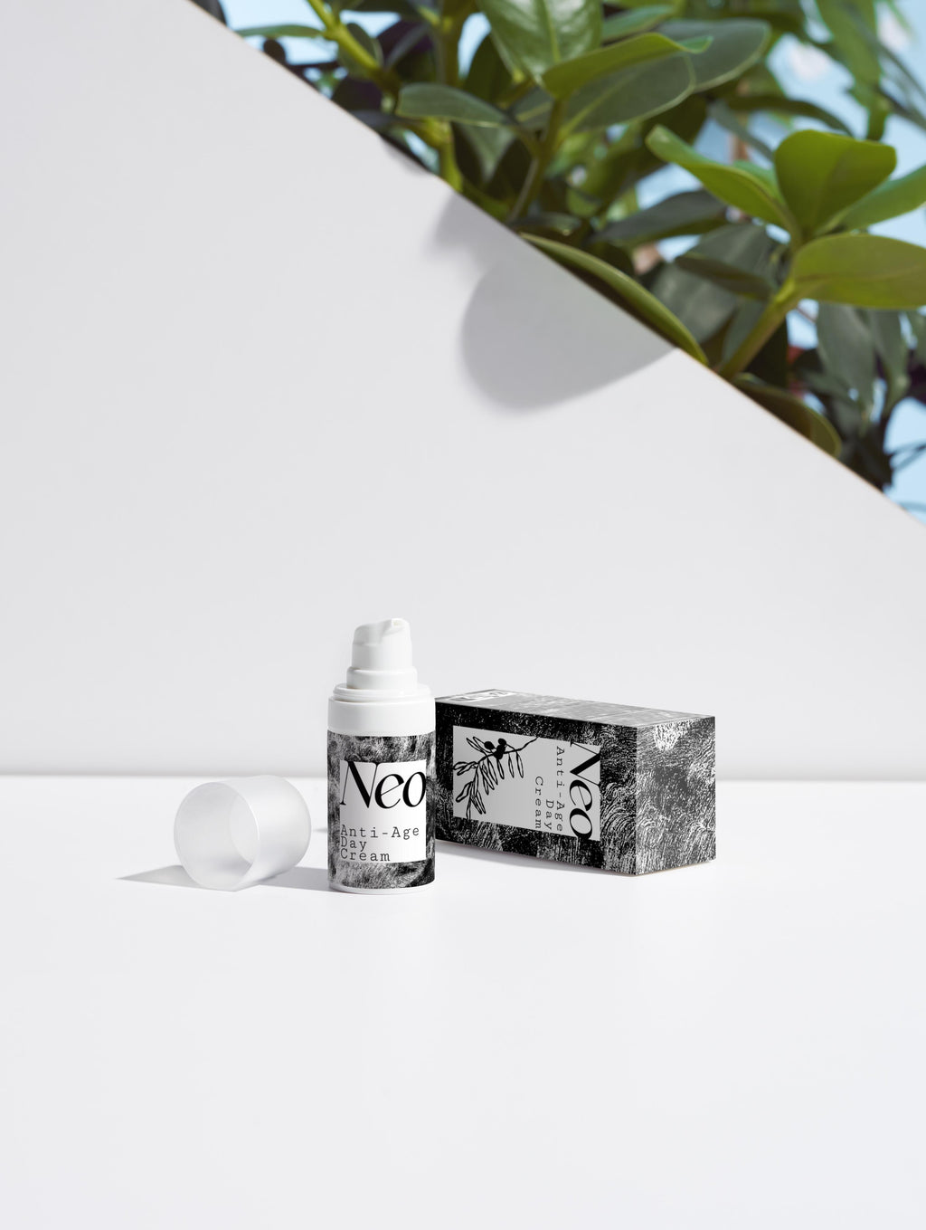 Timeless Radiance Collection Box