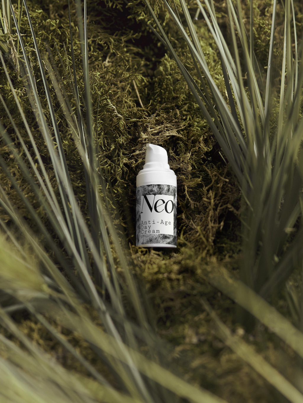 Timeless Radiance Collection Box