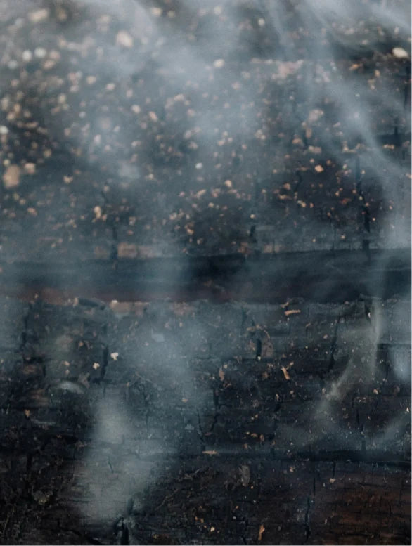 Neo Softening Beard Oil