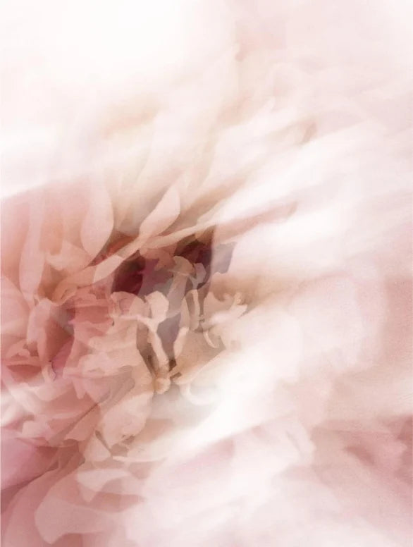 Neo Sun Protection SPF50 Tinted Stick — Invisible Shield & Natural Glow