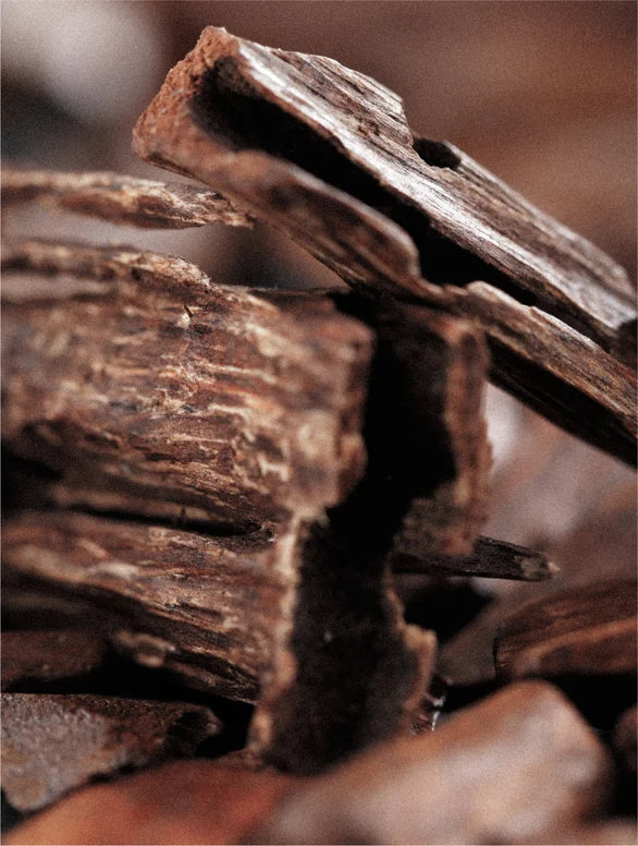 Neo Keratin Volume Boost Conditioner