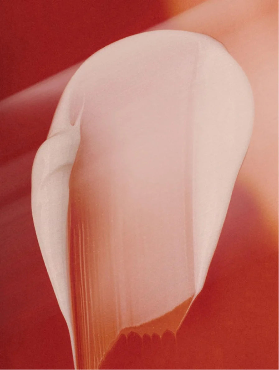 Anatomical illustration of a knee joint on a red background