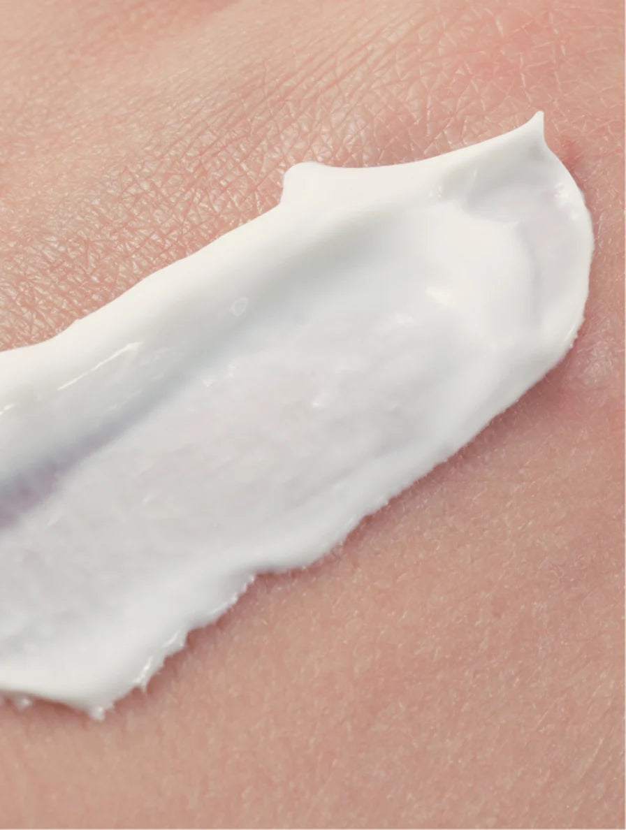 Neo The Bestsellers Collection Box