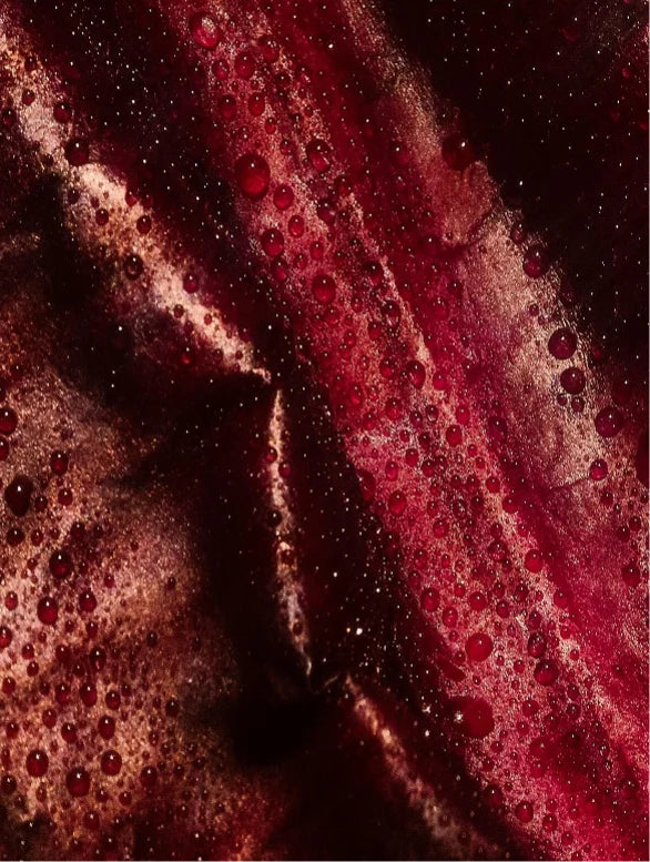 Close-up of red wine with bubbles and sediment