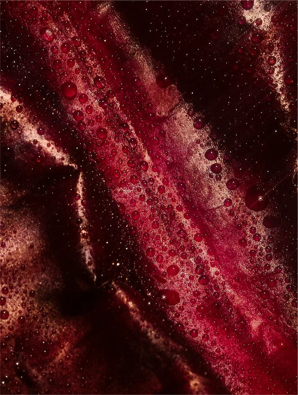 Timeless Radiance Collection Box