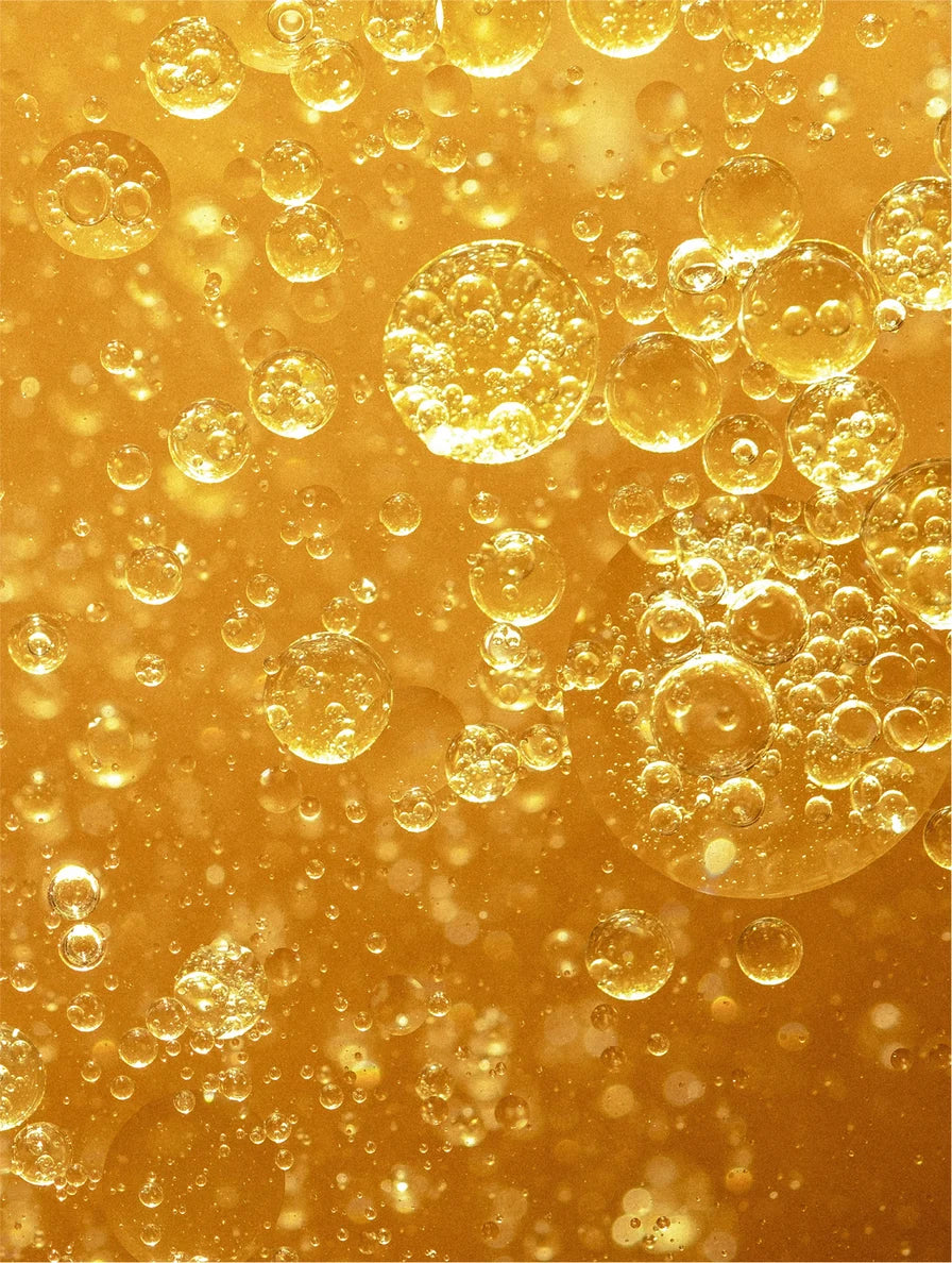 Timeless Radiance Collection Box