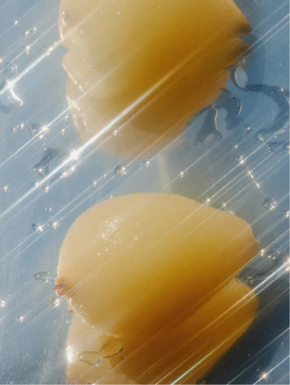 Two yellow objects on a clear plastic sheet with a blue background