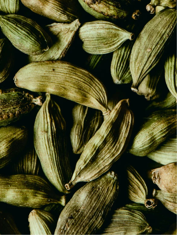 Close-up of cardamom pods on a dark background