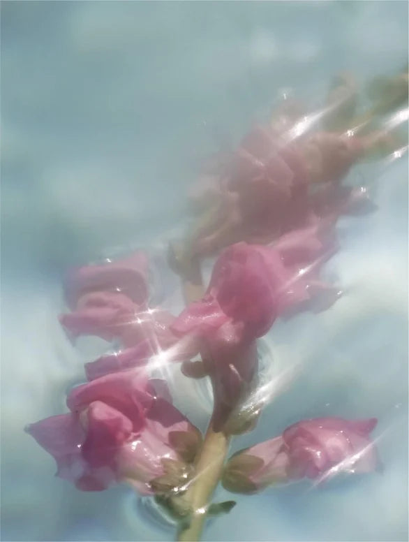 The Ultimate Hydration Duo