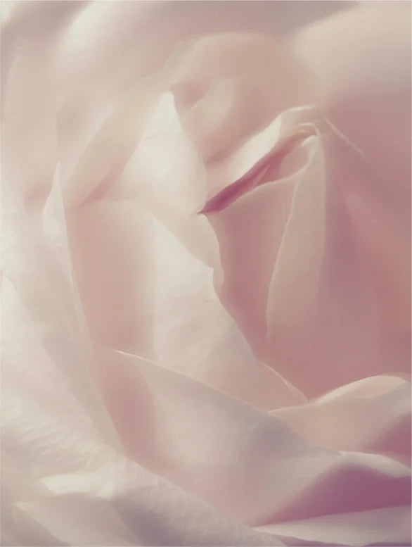 Neo  Daily Radiance Collection Box — Glow, Hydrate & Renew